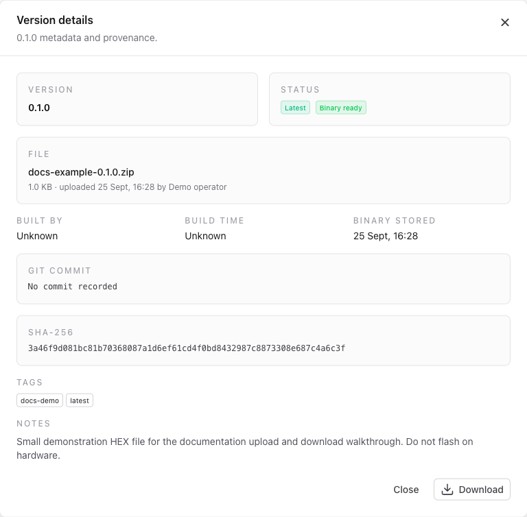 Version details showing the stored ZIP, SHA-256, and Download action